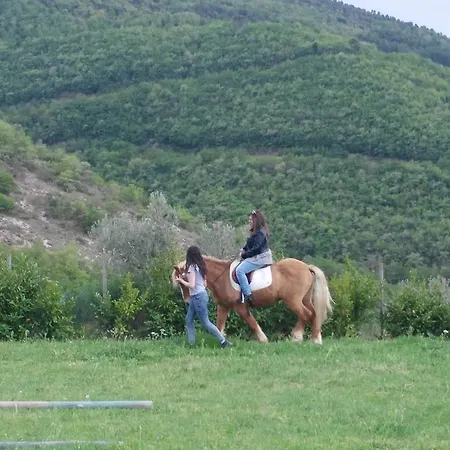San Martino Farm stay