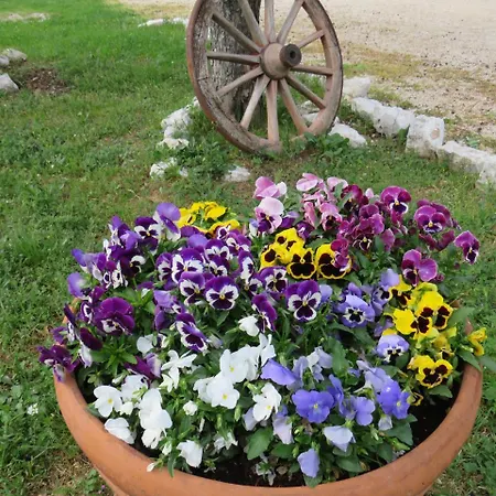 Farm stay San Martino