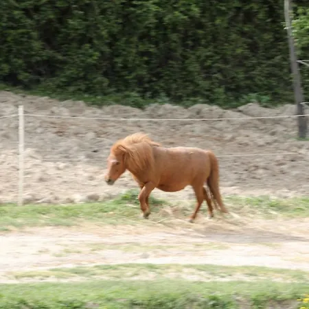 Farm stay San Martino *