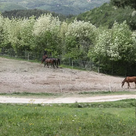 San Martino Çiftlik konaklama *