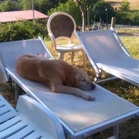 San Martino Farm stay