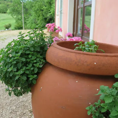 Farm stay San Martino